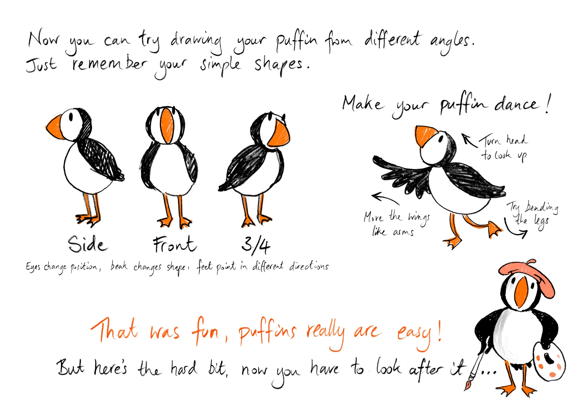puffin drawing puffin drawing
