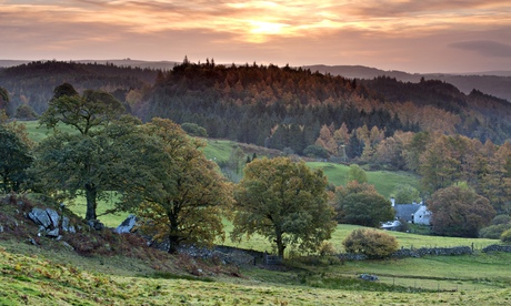 sunrise over the ancient Gwydyr Forest 