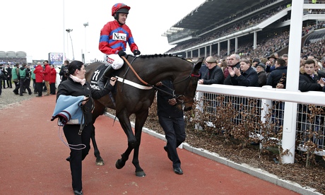 Sprinter Sacre after he was pulled up in the Queen Mother Champion Chase at Cheltenham