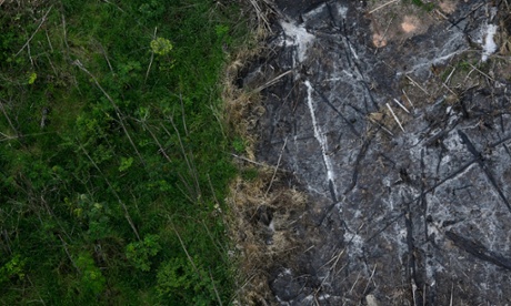 An area of the Amazon rainforest which has been slashed and burned stands next to a section of virgin forest, as seen from a police helicopter during the ‘Hileia Patria’ operation against sawmills and loggers who trade in illegally extracted wood from the Alto Guama River indigenous reserve in Nova Esperanca do Piria, in Para State, 29 September 2013. T