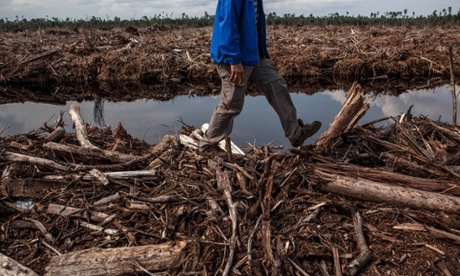 Deforestation in Indonesia. The Green Climate Fund has said the Australian government has no say in how its donation will be spent, but its priorities coincide with Australia’s, including rainforest protection and the Asia Pacific.