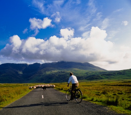 Delphi road with sheep and cyclist