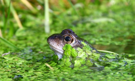 Nature writing with Patrick Barkham.