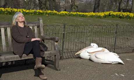 A woman relaxes on a bench next to pelic