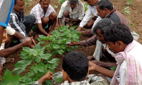 BCI farmers in India and Pakistan reduced their water use by 14% and cut their pesticide use by 24% in 2013.