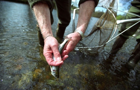 Fishing in the River Taff, Cardiff.