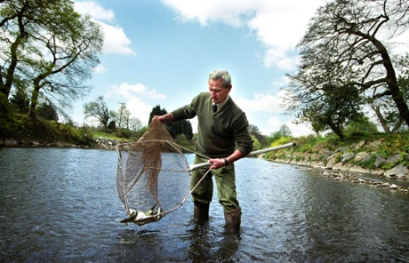 Topping up the fish stocks in the River Taff, Cardiff.
