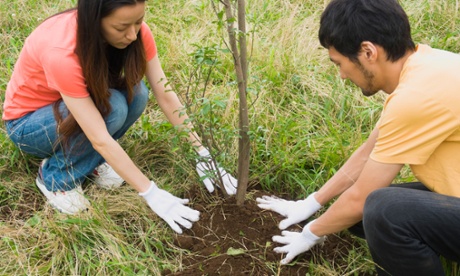Students volunteering