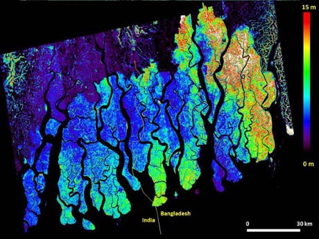 Height of Bangladesh mangrove