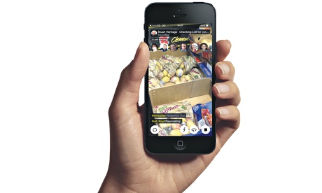 Meerkat … from our man in Lidl