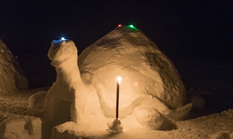 Igloo Tortoise