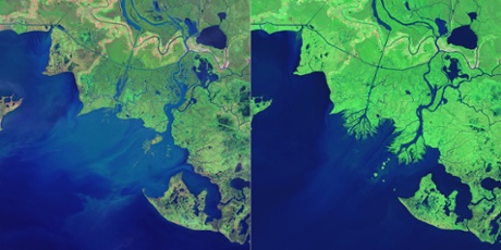 New land on the Louisiana coast