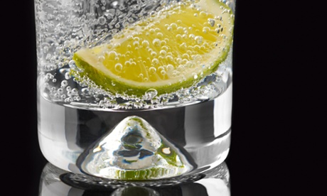 a gin and tonic with a wedge of lemon