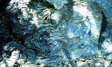 How chemistry affects the evolution of life