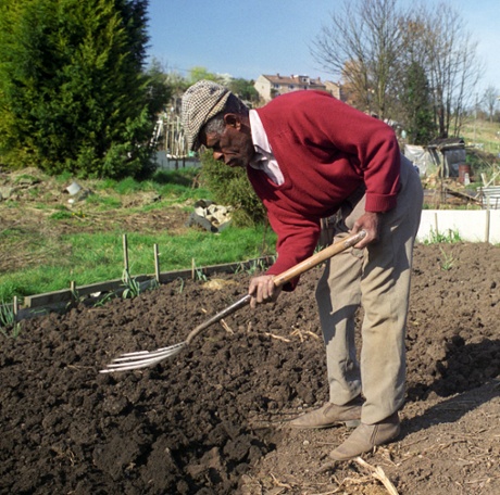 Older people in the UK contribute an estimated £61bn to the economy through employment, volunteering and caring.