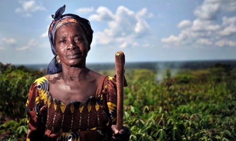 A rural farmer stands in an improved cassava field in Mbaiki, Central African Republic, part of an FAO project supporting vulnerable smallholders utilise technologies and innovations for sustainable productivity of cassava.