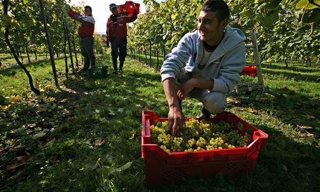 migrant workers election fears