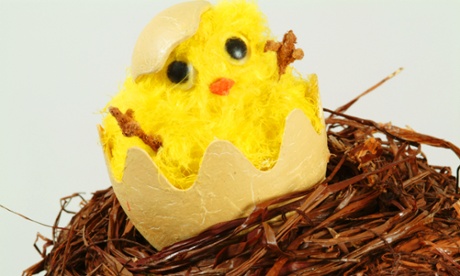 An Easter chick in a nest