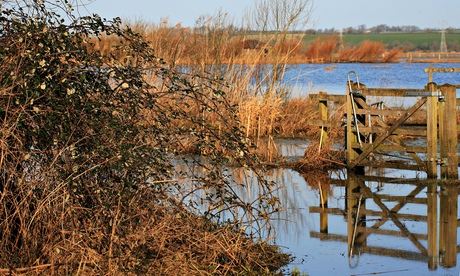 water flood Ambridge