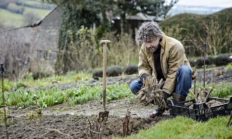 Dan Pearson planting out dahlias