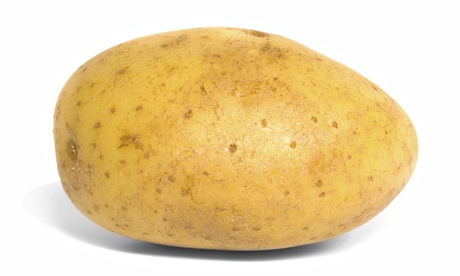 Potato