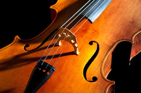 Warm body of the cello