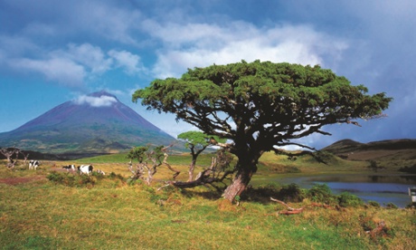 The 2,350-metre Mount Pico.