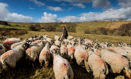 James Rebanks sheep farm Cumbria