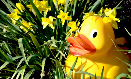 London Wetlands Easter Duck Hunt