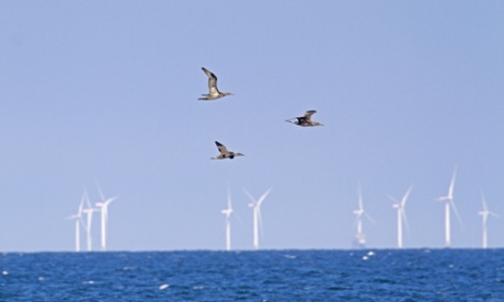 The European environmental goods and services sector has added around 1.3 million jobs since the 2008 financial crisis