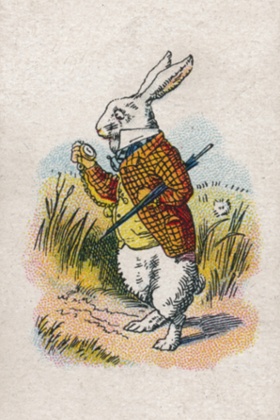 The White Rabbit