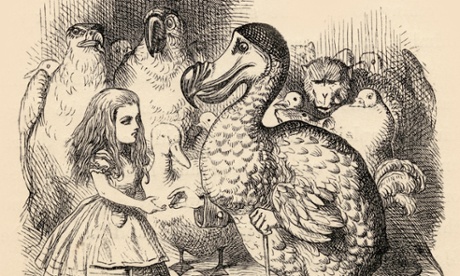 Alice meets the dodo