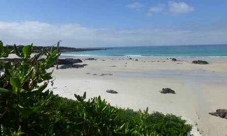Quiet beaches abound.