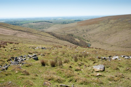 View over river Erme and Piles Copse, Dartmoor.