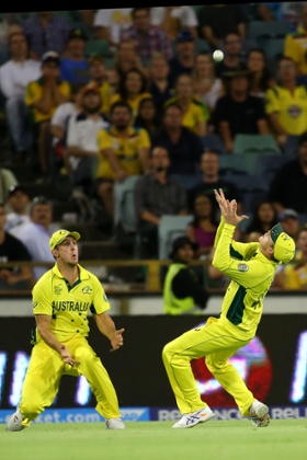 Steven Smith takes a catch to dismiss Asghar Stanikzai