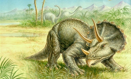 Triceratops