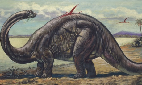 Apatosaurus