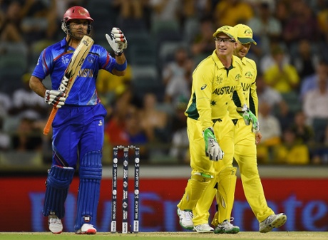 Michael Clarke celebrates with Brad Haddin after dismissing Mohammad Nabi.
