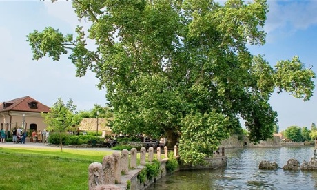 The great plane of Tata.