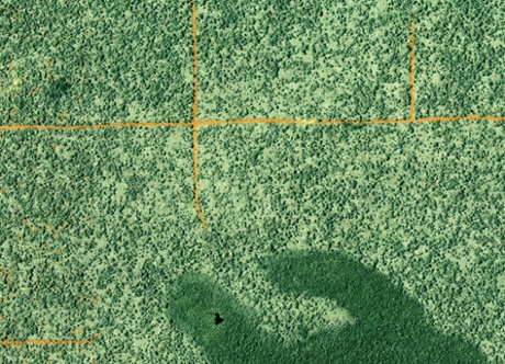 Logging in the Northern Republic of Congo