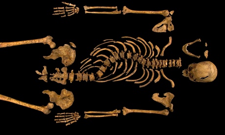 The skeleton of Richard III. The king's remains will be reburied at Leicester cathedral this month.
