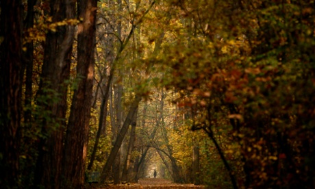 A man walks in a park on a warm day in the centre of Sofia, Bulgarai