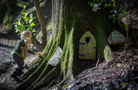 A small boy looks inside a fairy door at the bottom of a tree in Wayford Woods