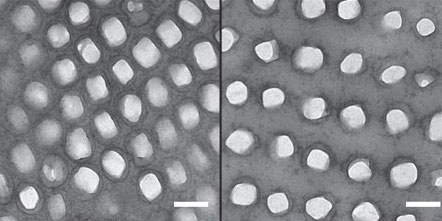 The nanocrystals before and after excitement