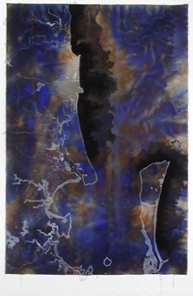 Bloom 2009 pigment, Judy Watson, ink, pastel and acrylic on canvas 217.5 x 148 cm