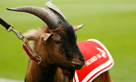 Cologne's mascot Hennes