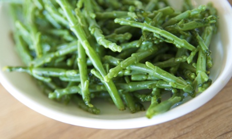 samphire