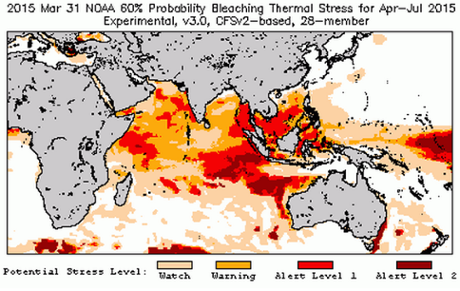 Predicted thermal stress in Indian Ocean.