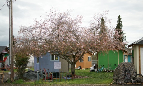 Bloom at Opportunity Village.