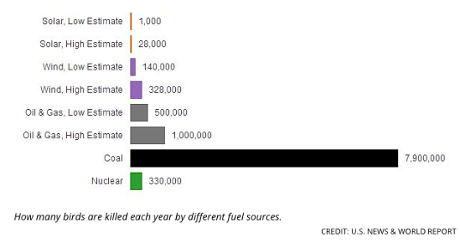 Birds killed annually by different fuel sources